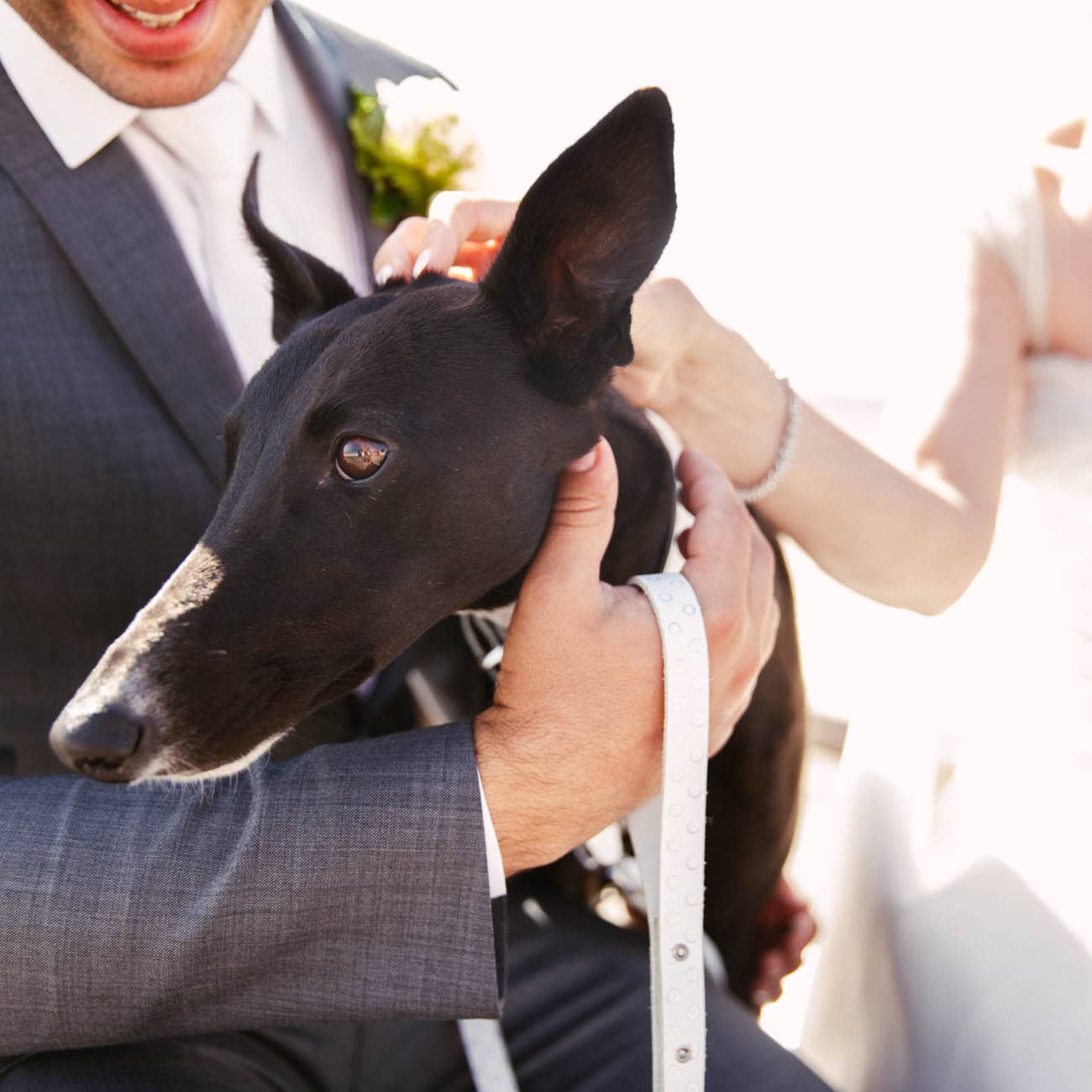 Dogs in weddings 009 1